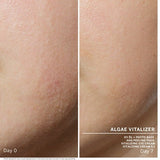 Ampollas Algae Vitalizer Babor - Babor Cosmetics - Pepa Navarro Centro de Estética Avanzada